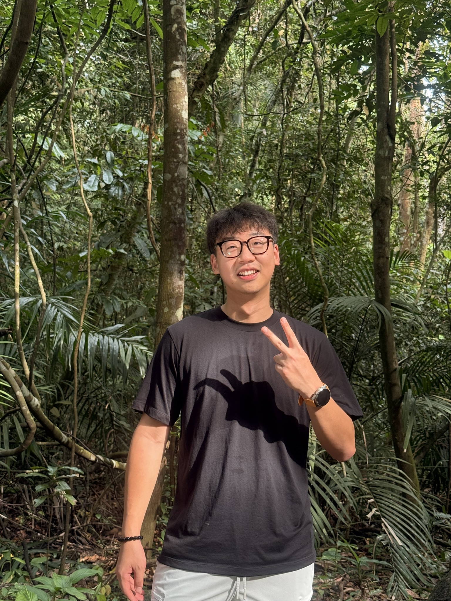 Singapore · 中央集水区