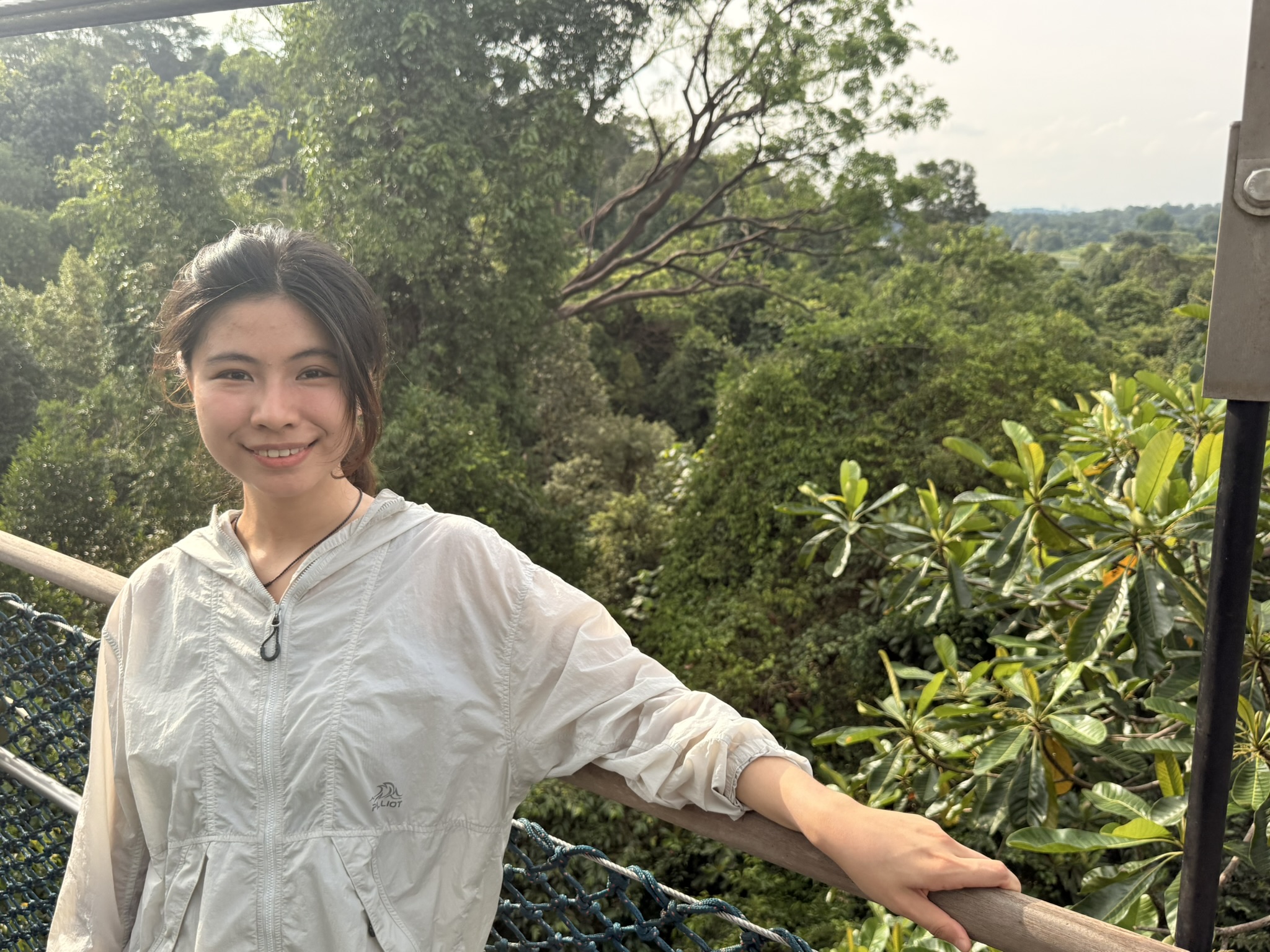 Singapore · 中央集水区