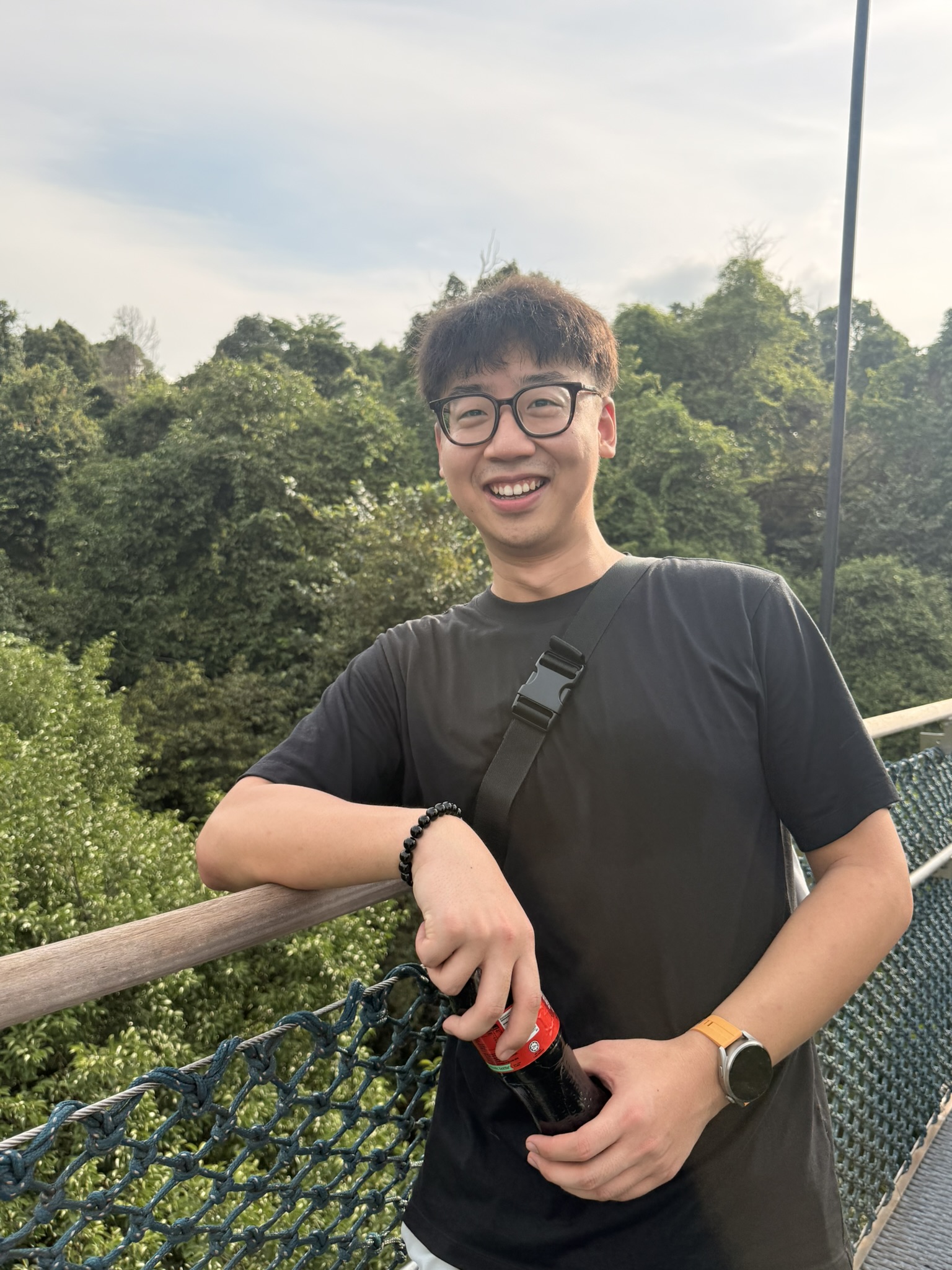 Singapore · 中央集水区