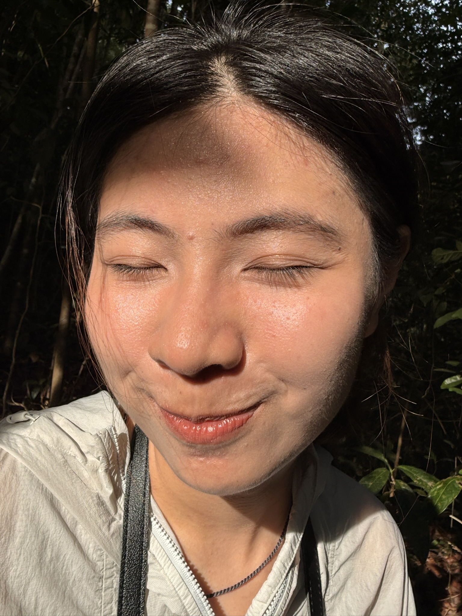 Singapore · 中央集水区
