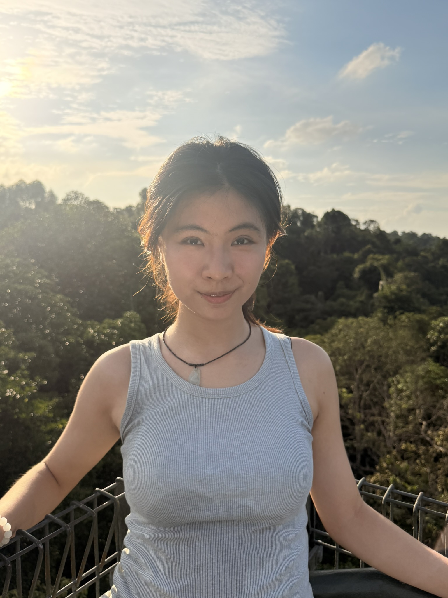 Singapore · 中央集水区