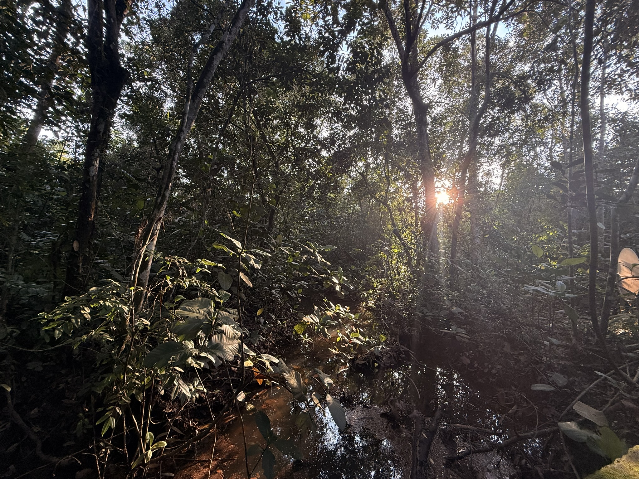 Singapore · 中央集水区