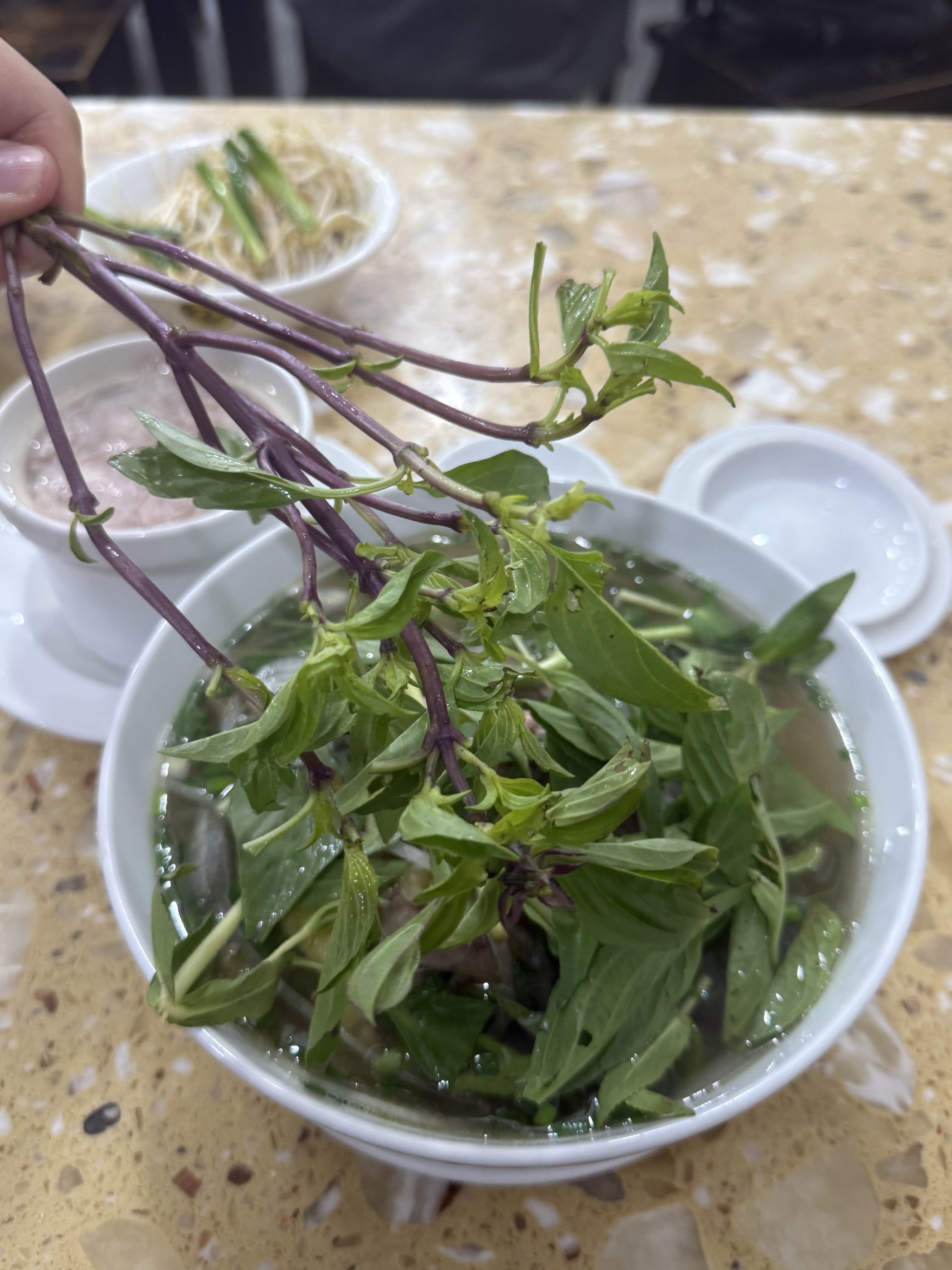 Hồ Chí Minh · Vietnam